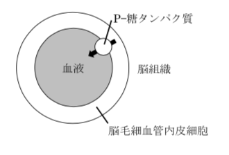 解説画像